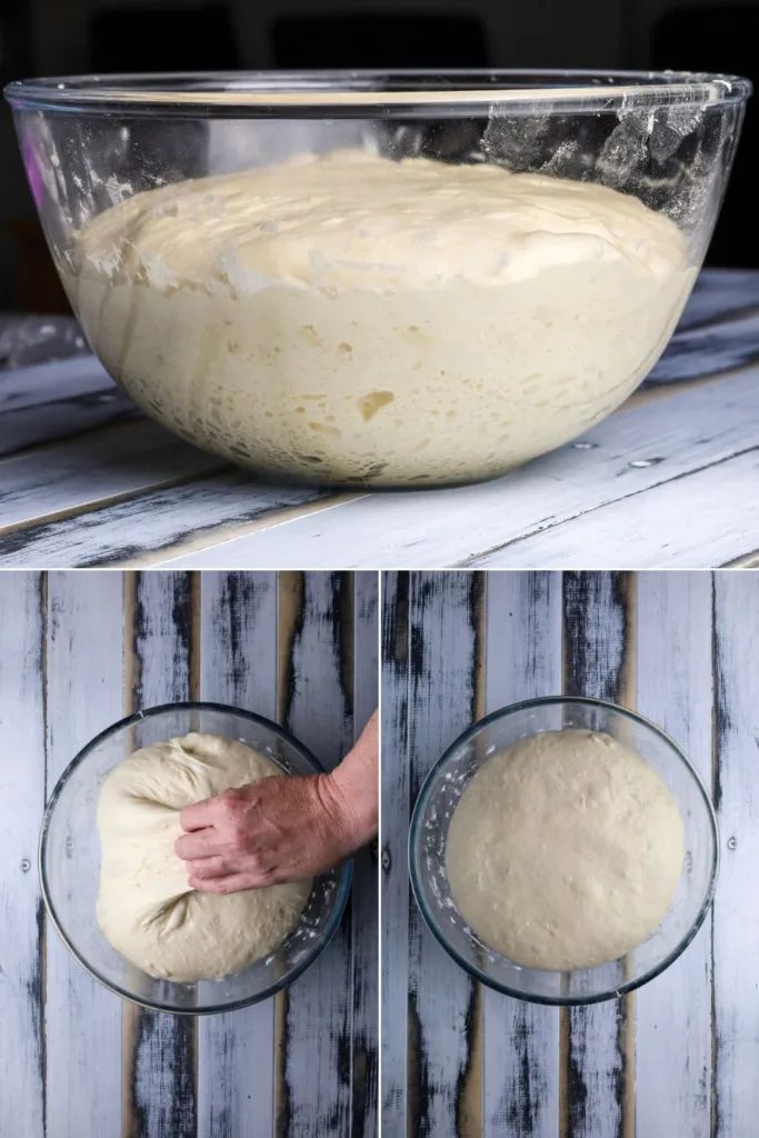 Let the dough bulk ferment until it has roughly doubled in size and shows visible air bubbles throughout.